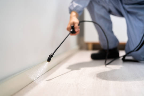 Licensed Pest Control service in Mathews, LA - Show Me Pest Control